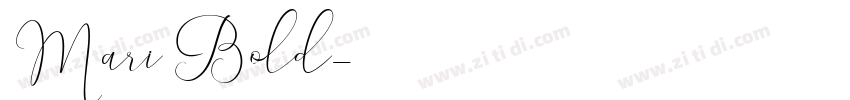 Mari Bold字体转换